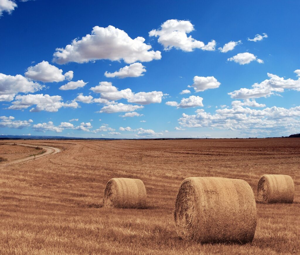 Hacia una estrategia integral para un desarrollo urbano y rural sostenible